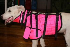 Dog Armor
